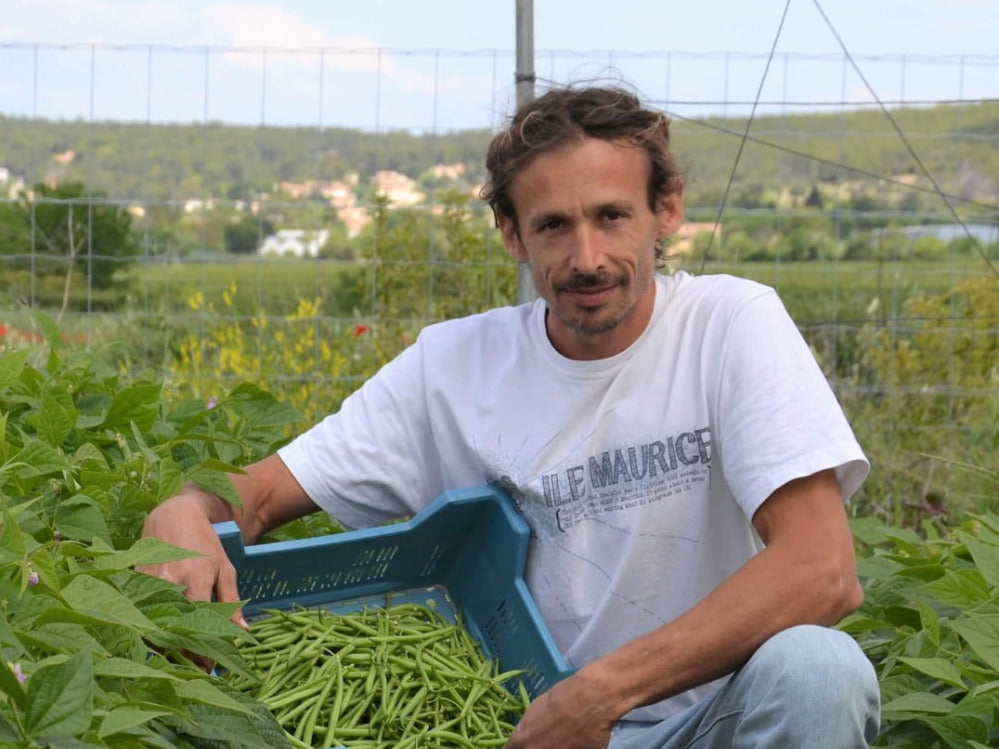 Vincent Griveau-Sellier